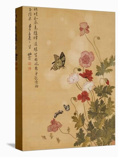 Corn Poppy and Butterflies, 1702-Ma Yuanyu-Stretched Canvas