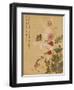 Corn Poppy and Butterflies, 1702-Ma Yuanyu-Framed Premium Giclee Print