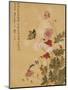 Corn Poppy and Butterflies, 1702-Ma Yuanyu-Mounted Premium Giclee Print