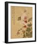 Corn Poppy and Butterflies, 1702-Ma Yuanyu-Framed Giclee Print