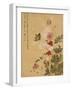 Corn Poppy and Butterflies, 1702-Ma Yuanyu-Framed Giclee Print