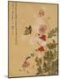 Corn Poppy and Butterflies, 1702-Ma Yuanyu-Mounted Giclee Print
