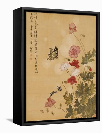 Corn Poppy and Butterflies, 1702-Ma Yuanyu-Framed Stretched Canvas