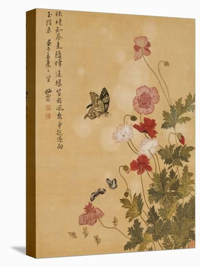 Corn Poppy and Butterflies, 1702-Ma Yuanyu-Stretched Canvas