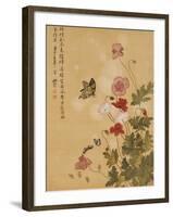 Corn Poppy and Butterflies, 1702-Ma Yuanyu-Framed Giclee Print