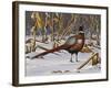 Corn Row Ringneck-Wilhelm Goebel-Framed Giclee Print