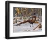 Corn Row Ringneck-Wilhelm Goebel-Framed Premium Giclee Print