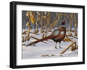 Corn Row Ringneck-Wilhelm Goebel-Framed Giclee Print