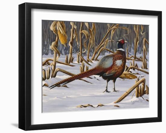 Corn Row Ringneck-Wilhelm Goebel-Framed Giclee Print