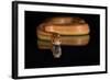 Corn Snake (Pantherophis Guttatus), captive, United States of America, North America-Janette Hill-Framed Photographic Print