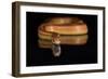 Corn Snake (Pantherophis Guttatus), captive, United States of America, North America-Janette Hill-Framed Photographic Print