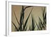 Corn Stalks At Sunset Pencil Drawing-Anthony Paladino-Framed Giclee Print