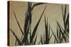 Corn Stalks At Sunset Pencil Drawing-Anthony Paladino-Stretched Canvas