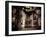 Corn-Stephen Arens-Framed Premium Photographic Print