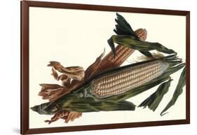 Corn-Philippe-Victoire Leveque de Vilmorin-Framed Art Print