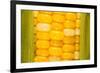 Corn-Steve Gadomski-Framed Photographic Print