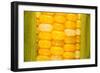 Corn-Steve Gadomski-Framed Photographic Print