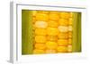 Corn-Steve Gadomski-Framed Photographic Print