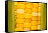 Corn-Steve Gadomski-Framed Stretched Canvas