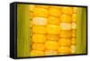 Corn-Steve Gadomski-Framed Stretched Canvas