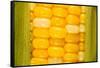 Corn-Steve Gadomski-Framed Stretched Canvas