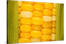 Corn-Steve Gadomski-Stretched Canvas