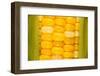 Corn-Steve Gadomski-Framed Photographic Print