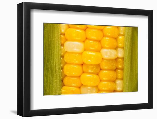 Corn-Steve Gadomski-Framed Photographic Print