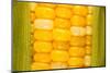 Corn-Steve Gadomski-Mounted Photographic Print