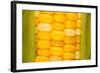 Corn-Steve Gadomski-Framed Photographic Print