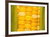 Corn-Steve Gadomski-Framed Photographic Print