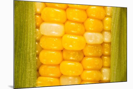 Corn-Steve Gadomski-Mounted Photographic Print