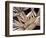 Corn-Neela Pushparaj-Framed Photographic Print