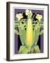 Corn-David Chestnutt-Framed Giclee Print