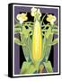 Corn-David Chestnutt-Framed Stretched Canvas