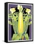 Corn-David Chestnutt-Framed Stretched Canvas