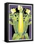 Corn-David Chestnutt-Framed Stretched Canvas