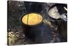 Cornbread and Coffee on a Campfire, Confederate Living History Demonstration, Shiloh, Tennessee-null-Stretched Canvas