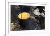 Cornbread and Coffee on a Campfire, Confederate Living History Demonstration, Shiloh, Tennessee-null-Framed Premium Photographic Print