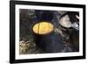 Cornbread and Coffee on a Campfire, Confederate Living History Demonstration, Shiloh, Tennessee-null-Framed Premium Photographic Print