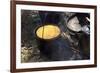 Cornbread and Coffee on a Campfire, Confederate Living History Demonstration, Shiloh, Tennessee-null-Framed Photographic Print