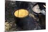 Cornbread and Coffee on a Campfire, Confederate Living History Demonstration, Shiloh, Tennessee-null-Mounted Photographic Print