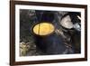 Cornbread and Coffee on a Campfire, Confederate Living History Demonstration, Shiloh, Tennessee-null-Framed Photographic Print