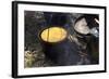 Cornbread and Coffee on a Campfire, Confederate Living History Demonstration, Shiloh, Tennessee-null-Framed Photographic Print