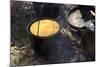 Cornbread and Coffee on a Campfire, Confederate Living History Demonstration, Shiloh, Tennessee-null-Mounted Photographic Print
