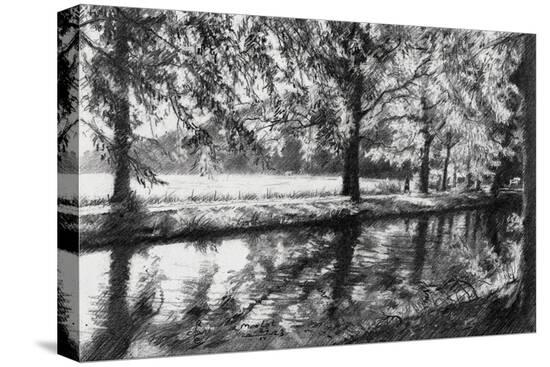 Stretched Canvas Print, , large