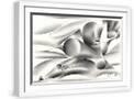 White Frame