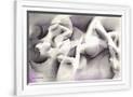Gramercy White