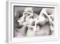 White Frame