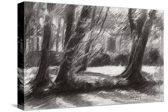 Stretched Canvas Print, , large
